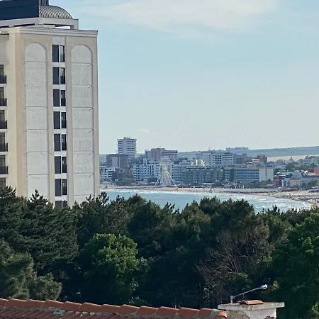 アパート Vista Del Mar 2 A11 One Bedroom サニービーチ